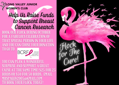 Book your Flamingo Flock to Support Breast Cancer Research Today!